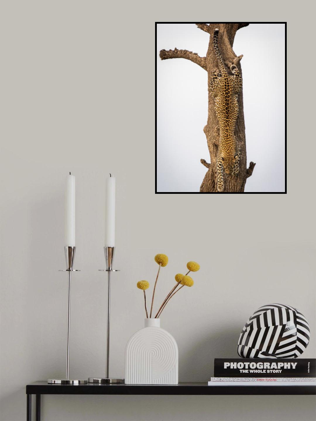 Camouflage Poster och Canvastavla