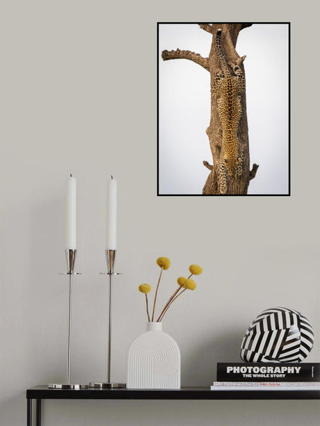 Camouflage Poster och Canvastavla