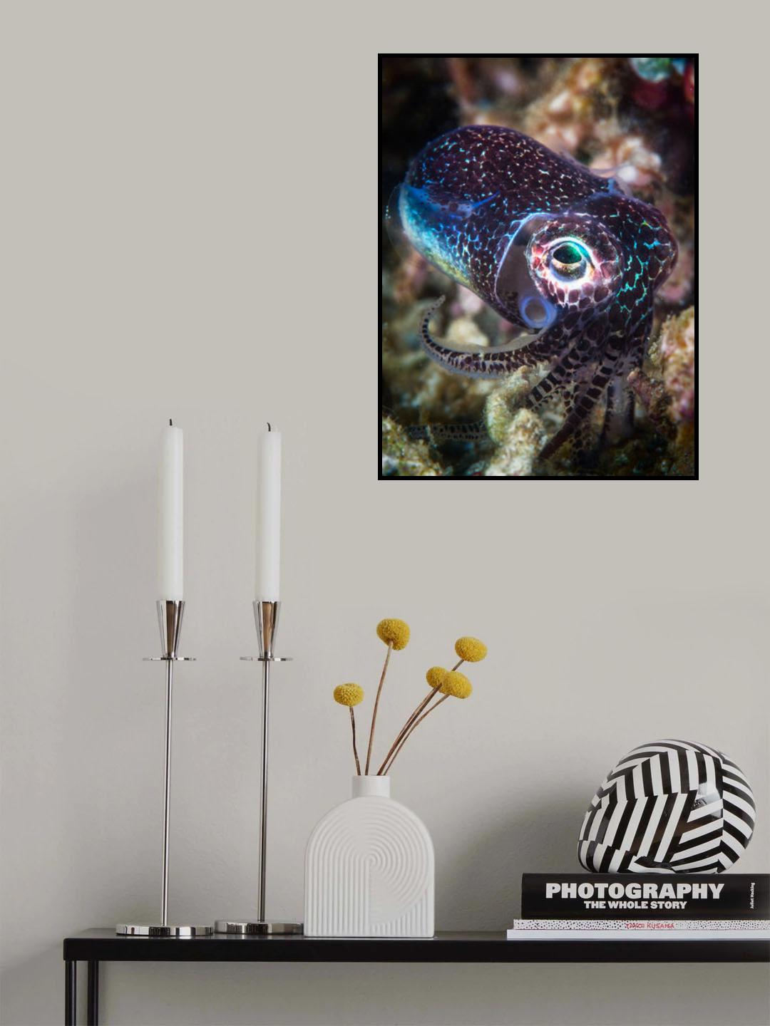 Baby cuttlefish Poster och Canvastavla
