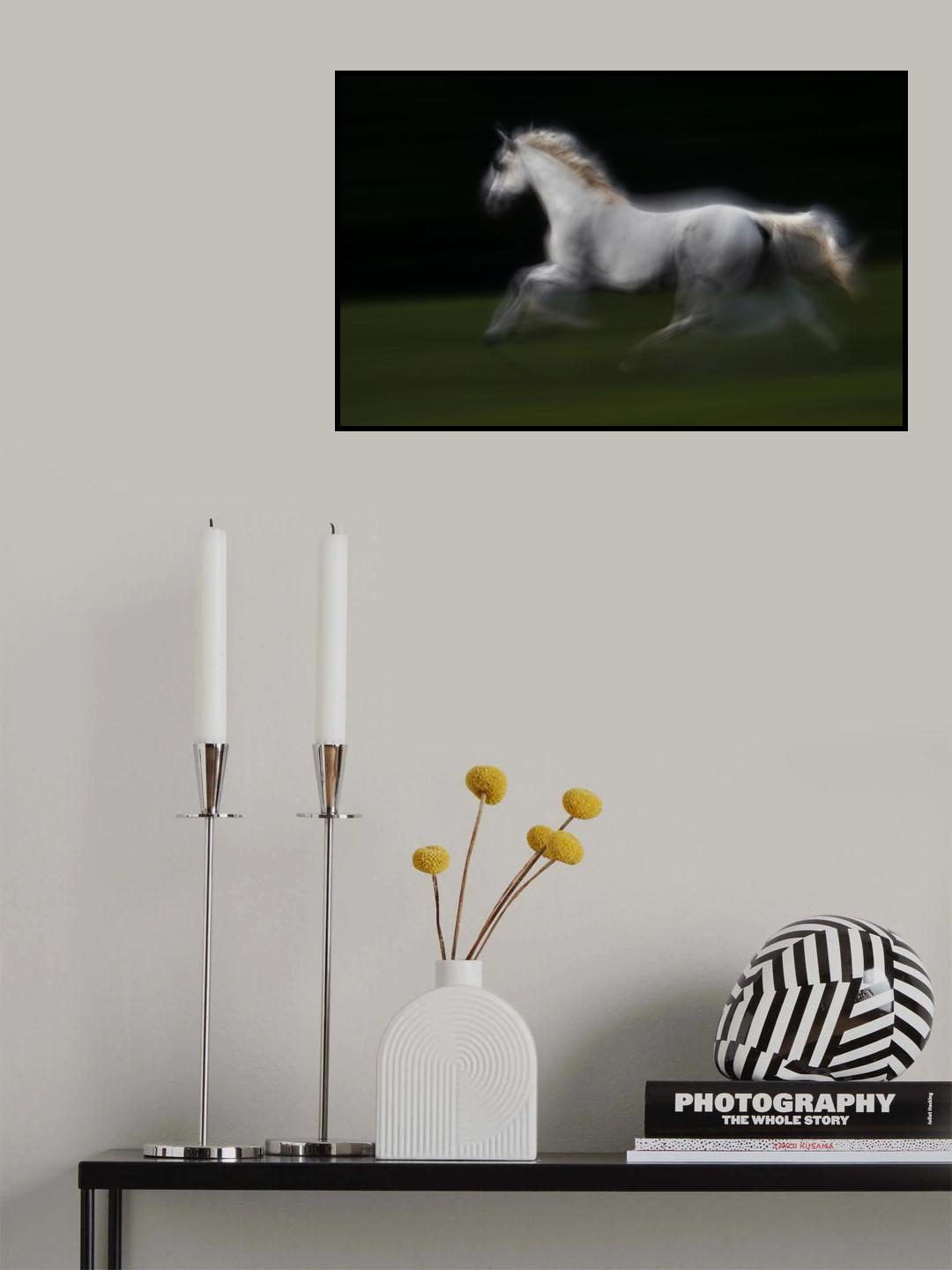 Galop Poster och Canvastavla