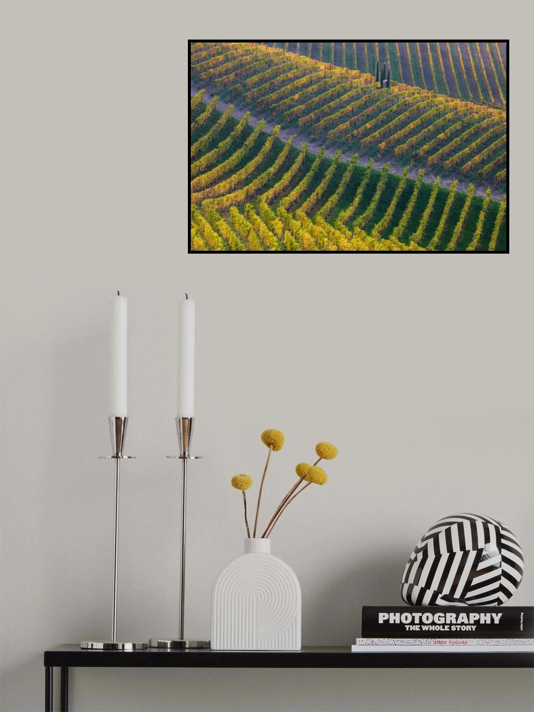 Vineyards Poster och Canvastavla