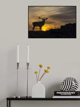 Greeting the Sun Poster och Canvastavla