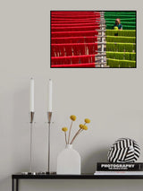 Drying Of Jute Fiber Poster och Canvastavla