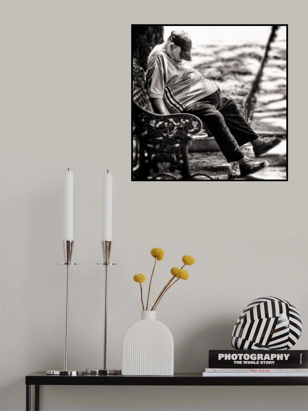 Hot afternoon nap Poster och Canvastavla