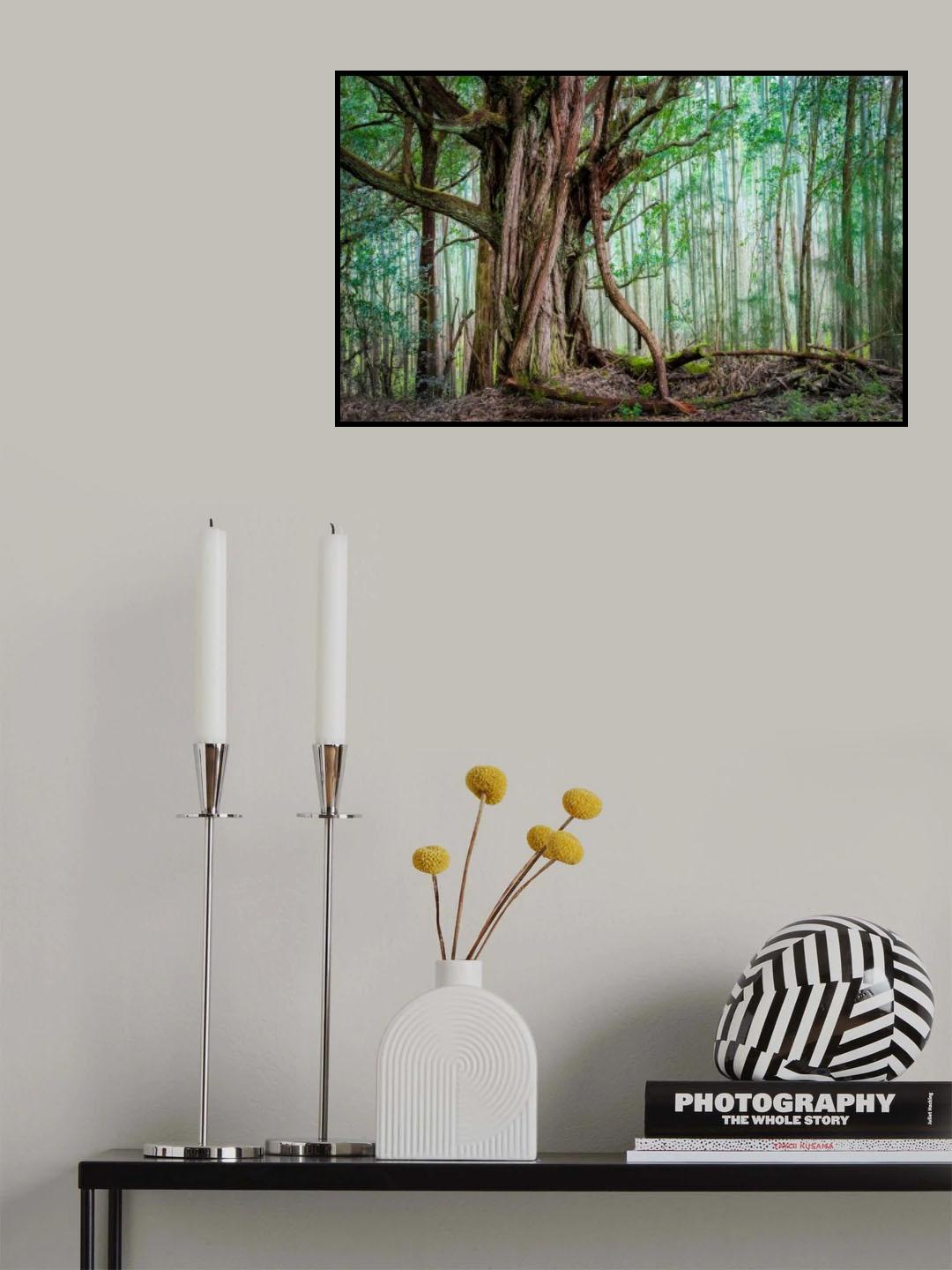 Waipio Valley Rainforest Poster och Canvastavla