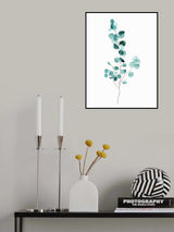 Eucalyptus Poster och Canvastavla