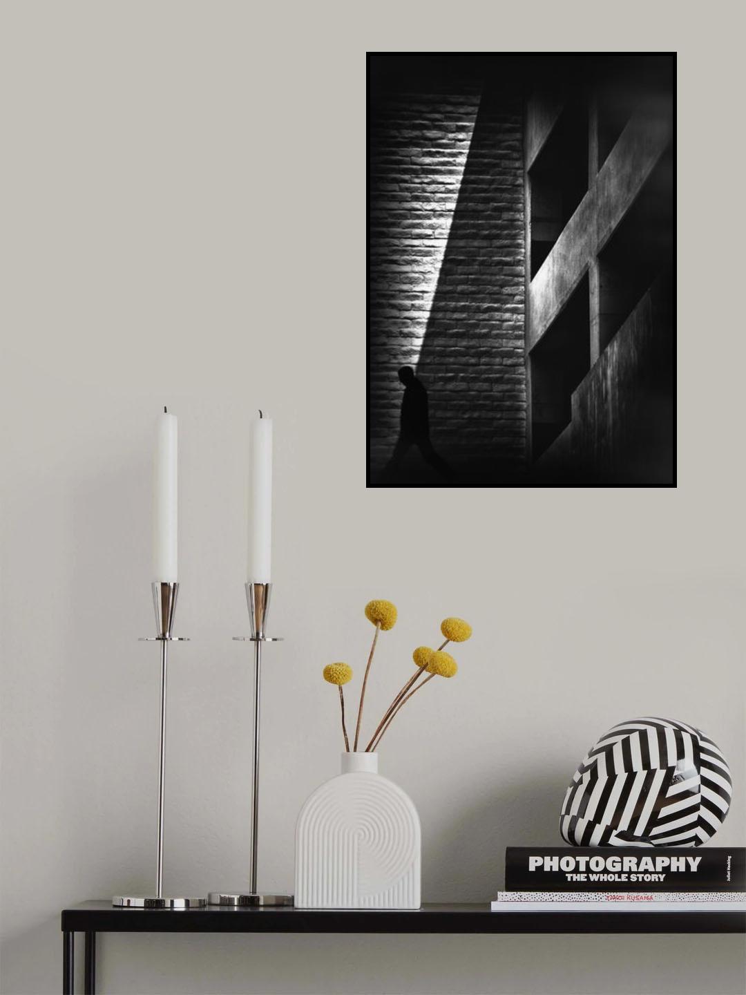 Shadows Poster och Canvastavla