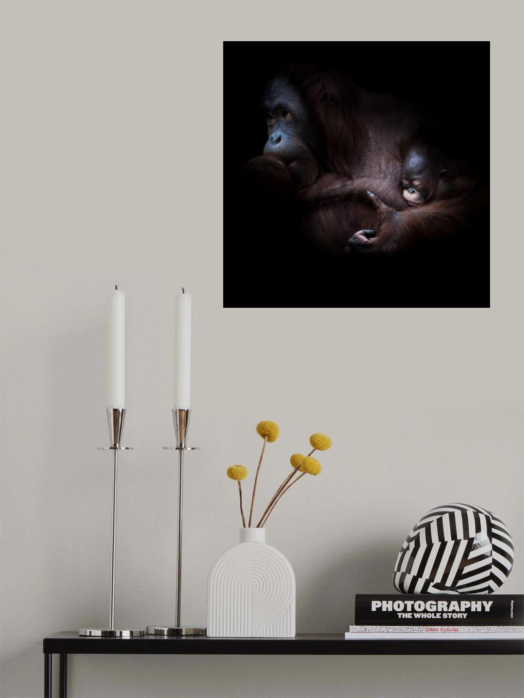 ... sleep Poster och Canvastavla