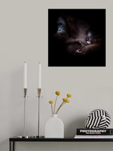 ... sleep Poster och Canvastavla