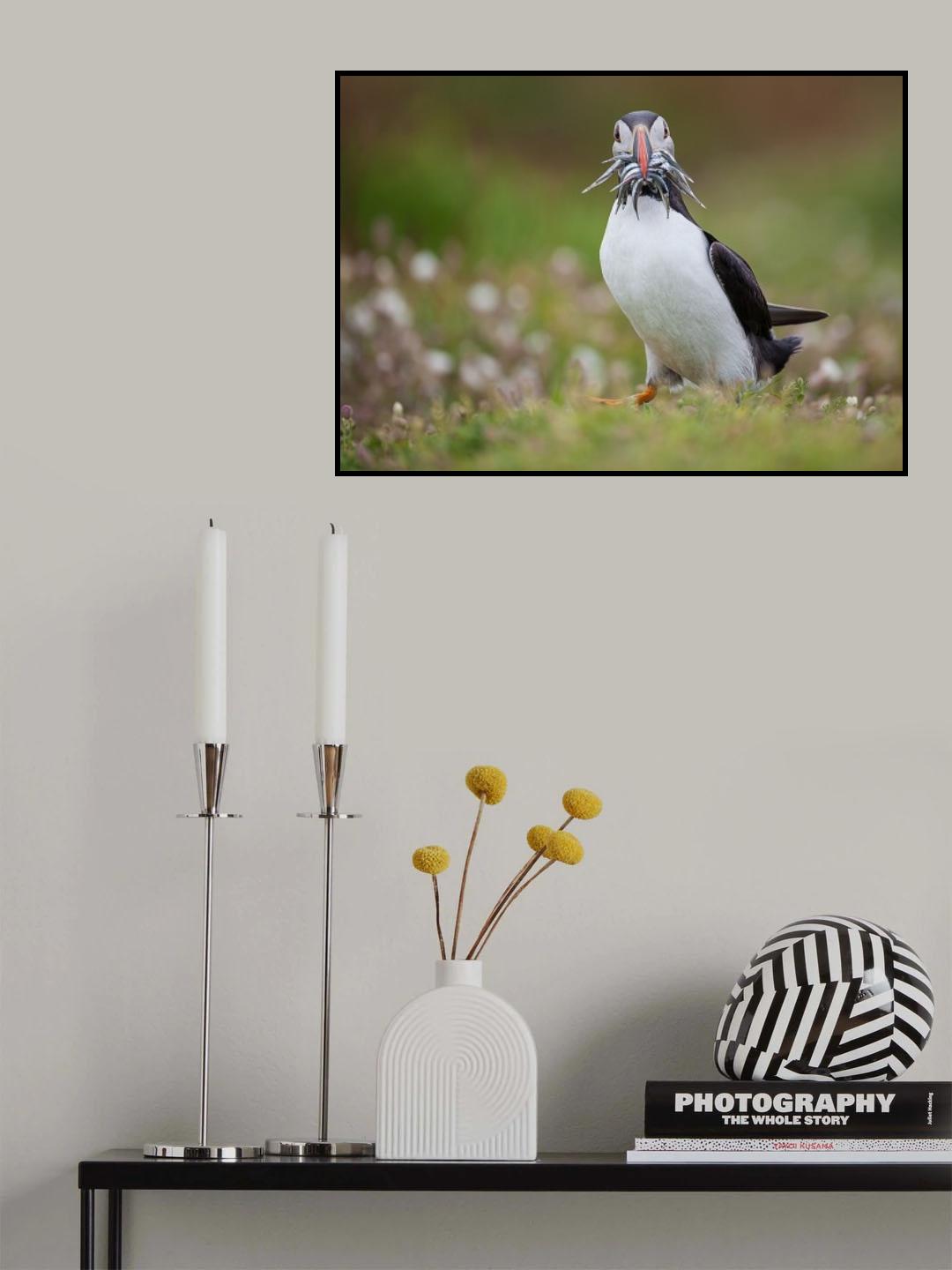 Am I goofy or what? Poster och Canvastavla
