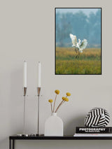 The Egret's Dance Poster och Canvastavla