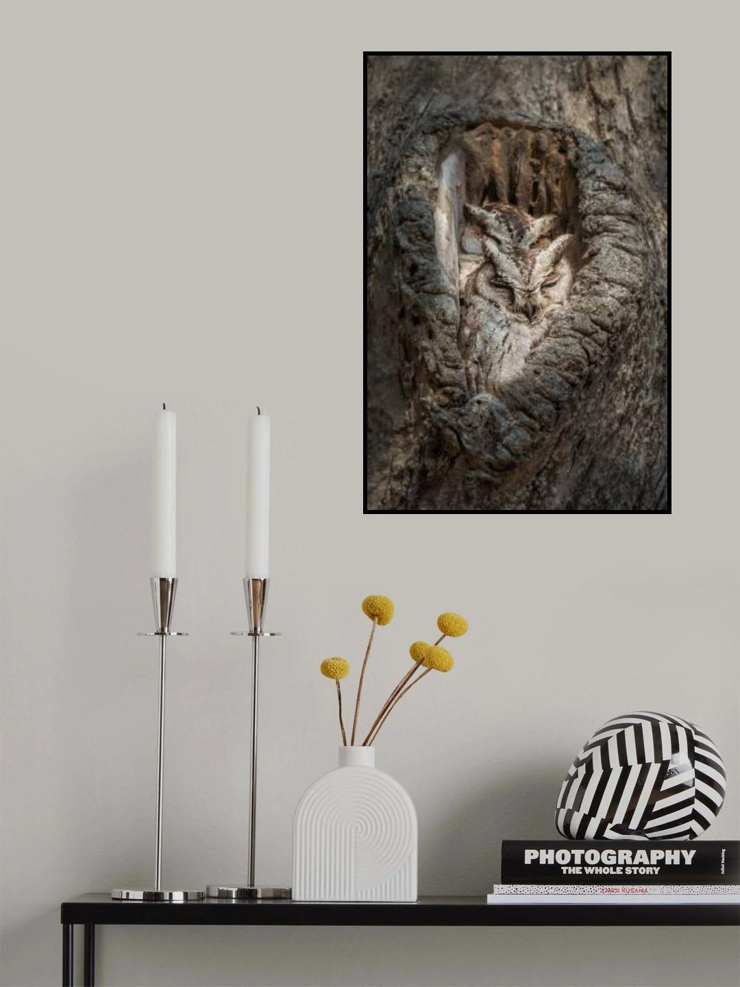 Snug Fit Poster och Canvastavla