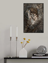 Snug Fit Poster och Canvastavla