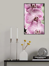 Tiger Blooms Poster och Canvastavla