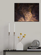Winding Road Poster och Canvastavla