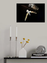 Sleeping Beauty Poster och Canvastavla