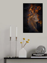 The Fire Princess Poster och Canvastavla