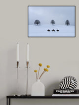 Double threesome Poster och Canvastavla