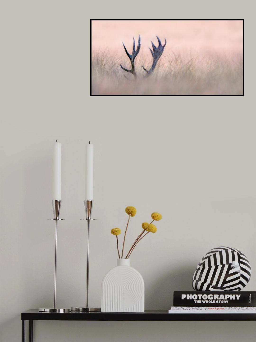 Hide &amp; Seek  ( Horn of Stag) Poster och Canvastavla