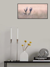 Hide &amp; Seek  ( Horn of Stag) Poster och Canvastavla