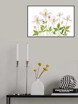 Clematis Poster och Canvastavla