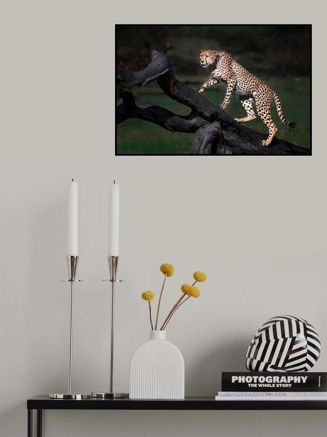Take look from the top Poster och Canvastavla