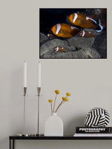 We are family Poster och Canvastavla