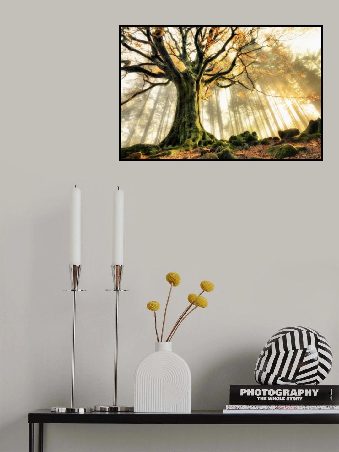 November Poster och Canvastavla