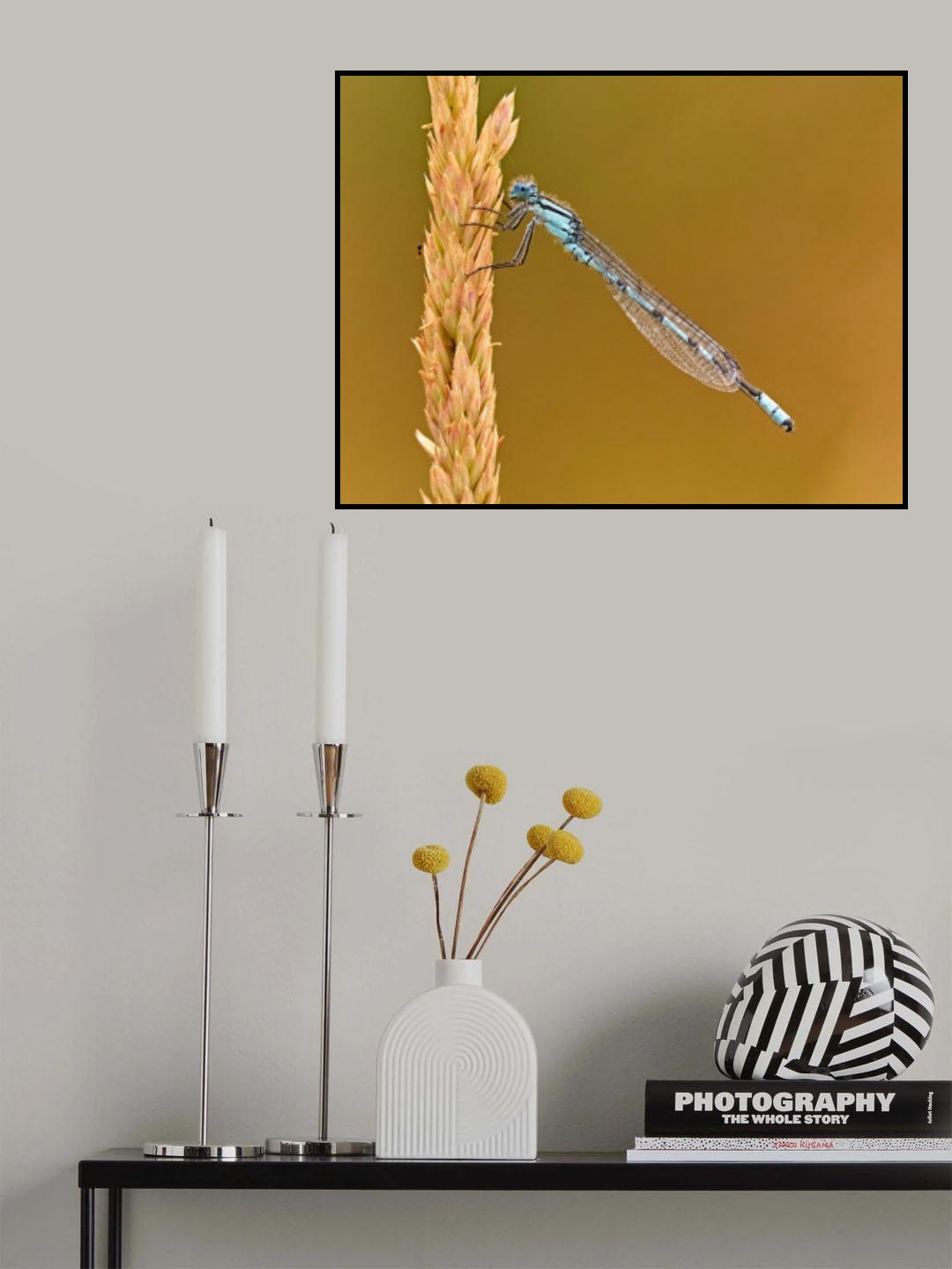 Damsel Poster och Canvastavla