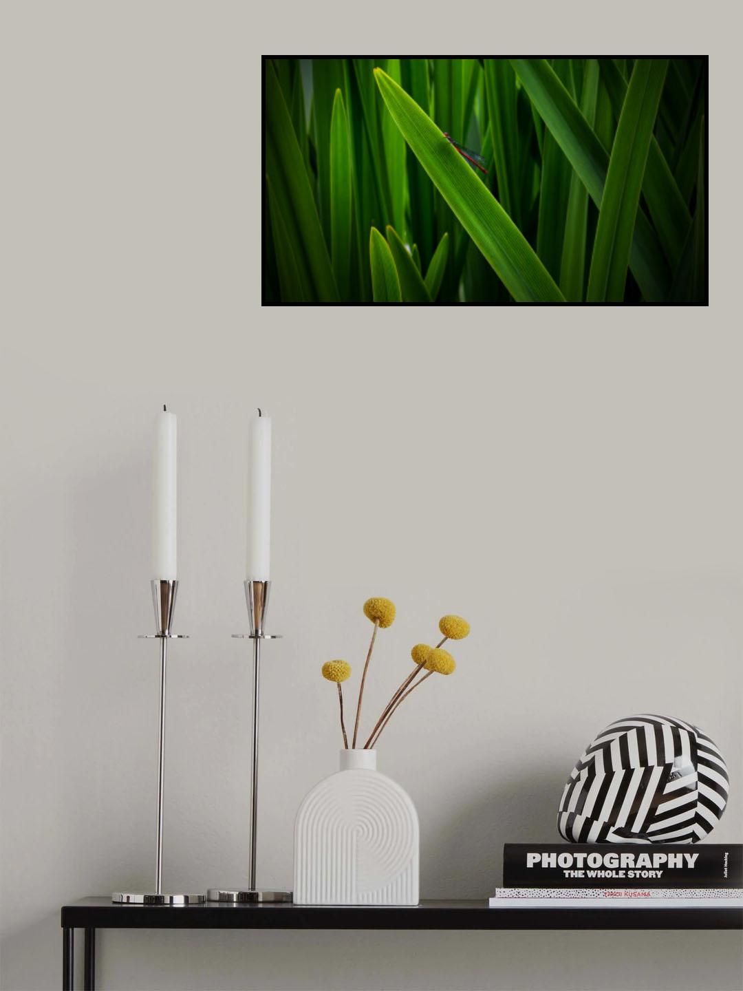 Hidden dragonfly Poster och Canvastavla