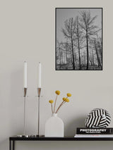 burnt trees and sky background Poster och Canvastavla