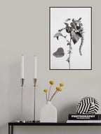 Grey Plant Poster och Canvastavla