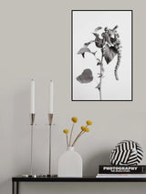Grey Plant Poster och Canvastavla