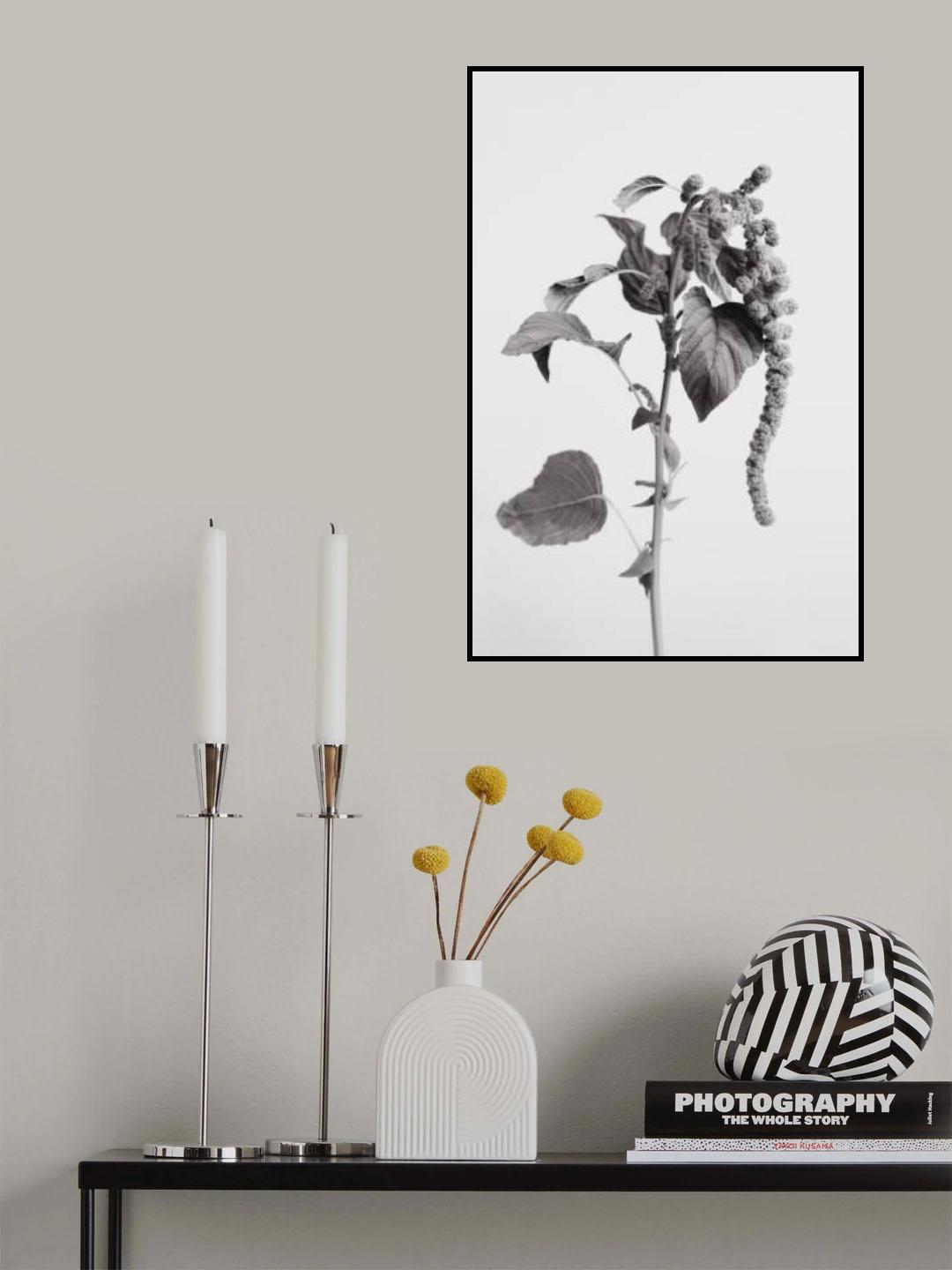 Grey Plant Poster och Canvastavla