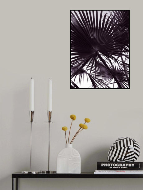 Miami Palm Two Poster och Canvastavla