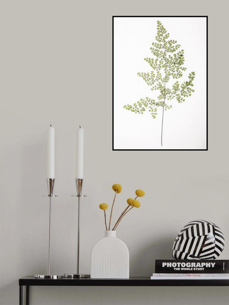 Leaf Study 06 Poster och Canvastavla