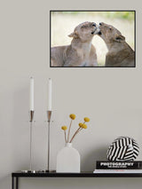 a pleasant afternoon Poster och Canvastavla