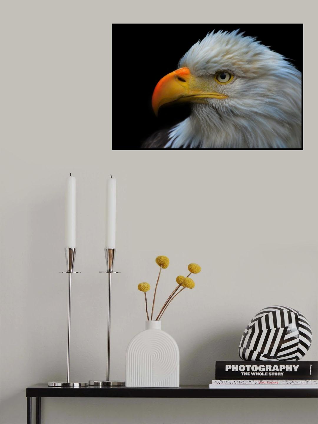 Bald Eagle Portrait Poster och Canvastavla