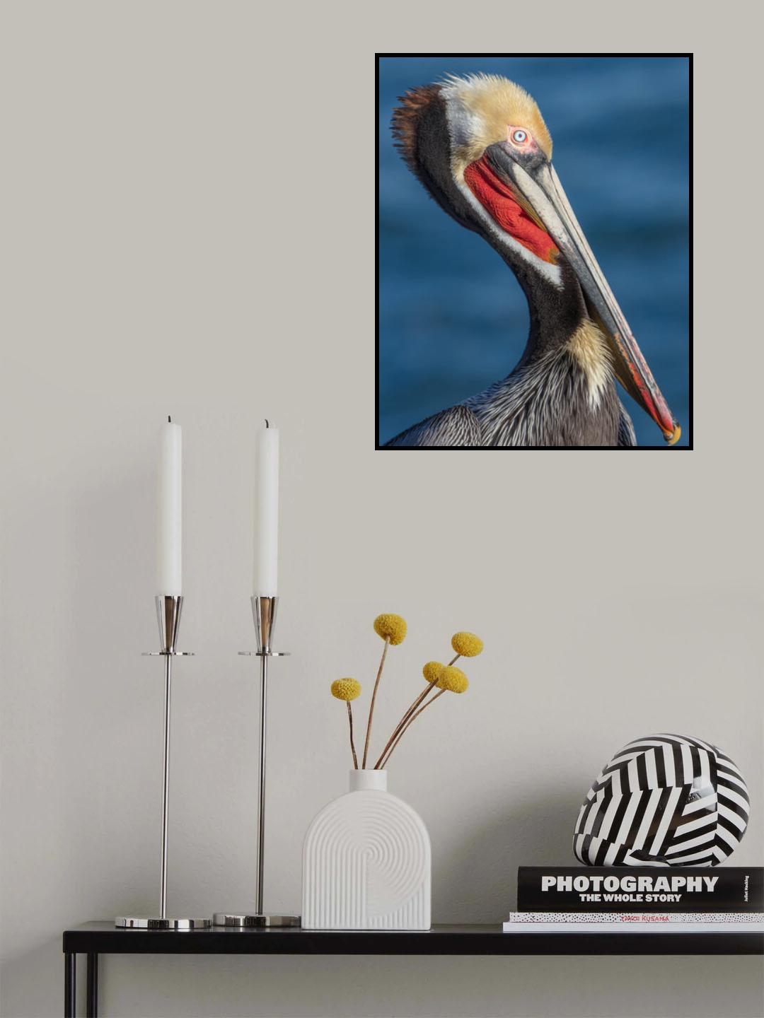 Peli portrait Poster och Canvastavla