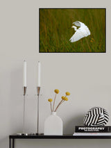 Grass Hopper Poster och Canvastavla