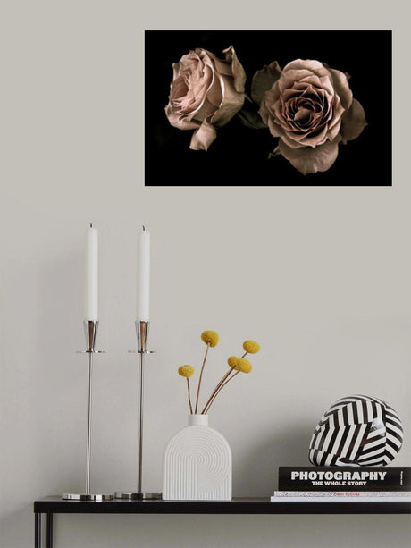 Roses Poster och Canvastavla