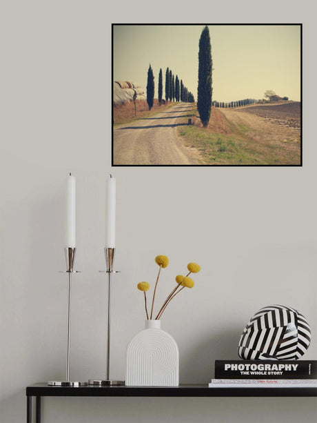 Tuscan countryside Poster och Canvastavla