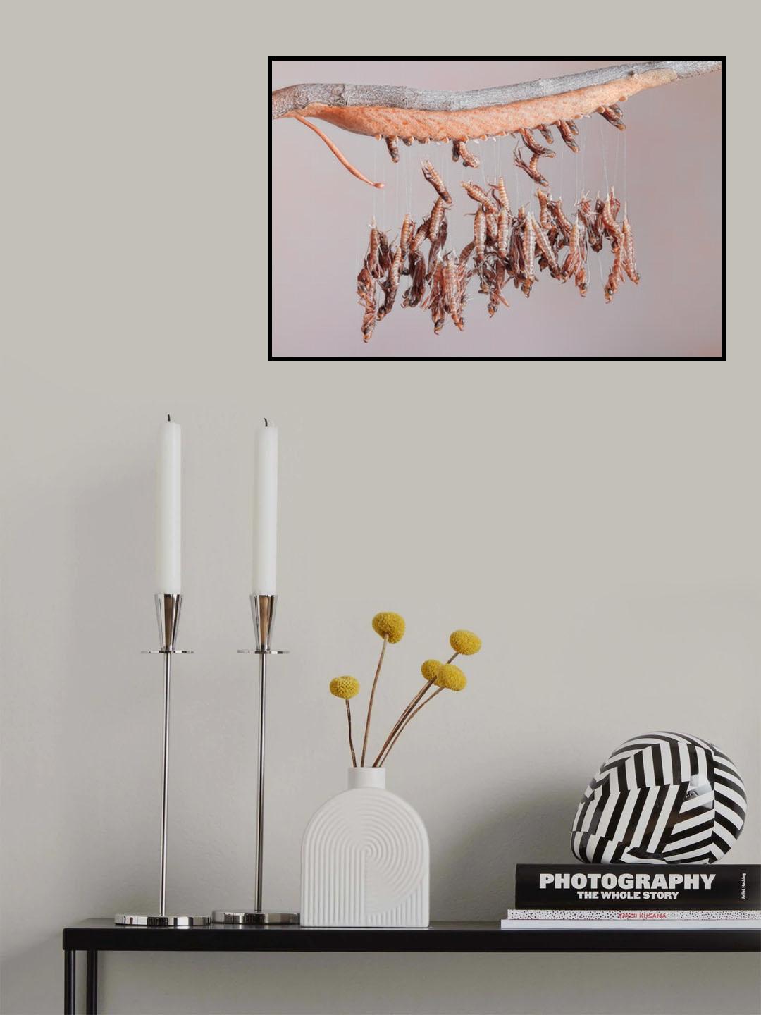Birth Poster och Canvastavla