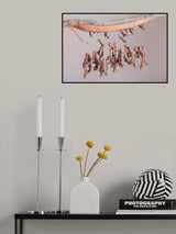 Birth Poster och Canvastavla