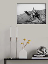 Such Fun Poster och Canvastavla