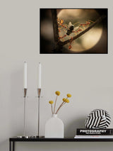 Appetite For The Night Poster och Canvastavla