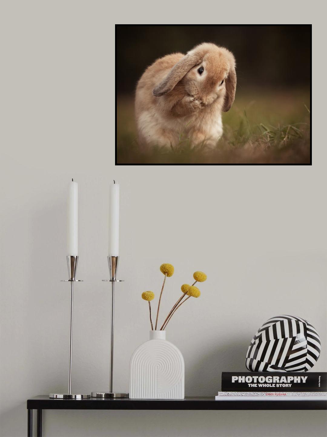 Rabbit Poster och Canvastavla