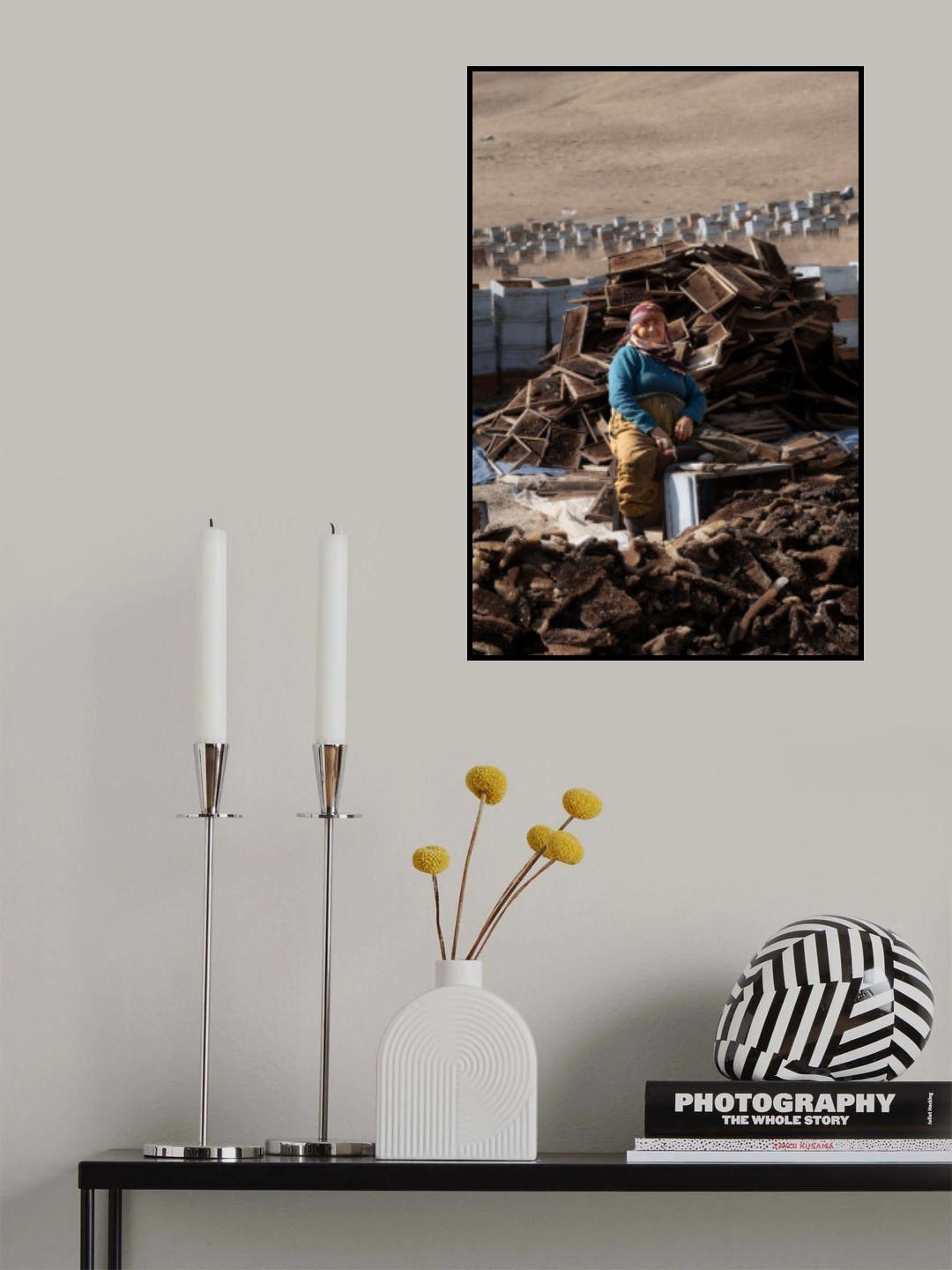 Honeycombs Poster och Canvastavla