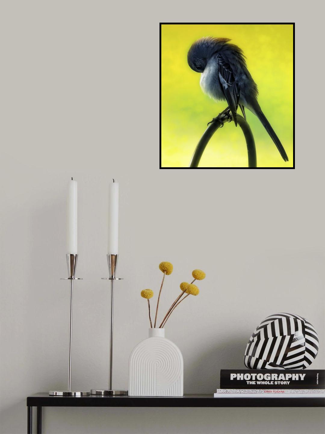 Winter Bird Poster och Canvastavla