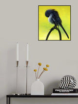 Winter Bird Poster och Canvastavla